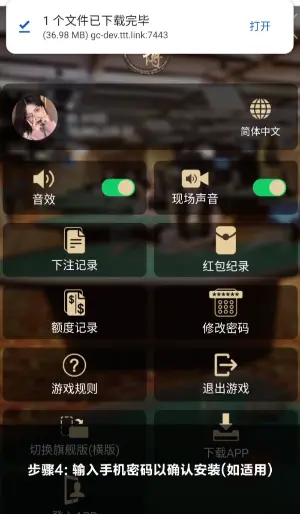 亚星安卓安装步骤4：输入锁屏密码